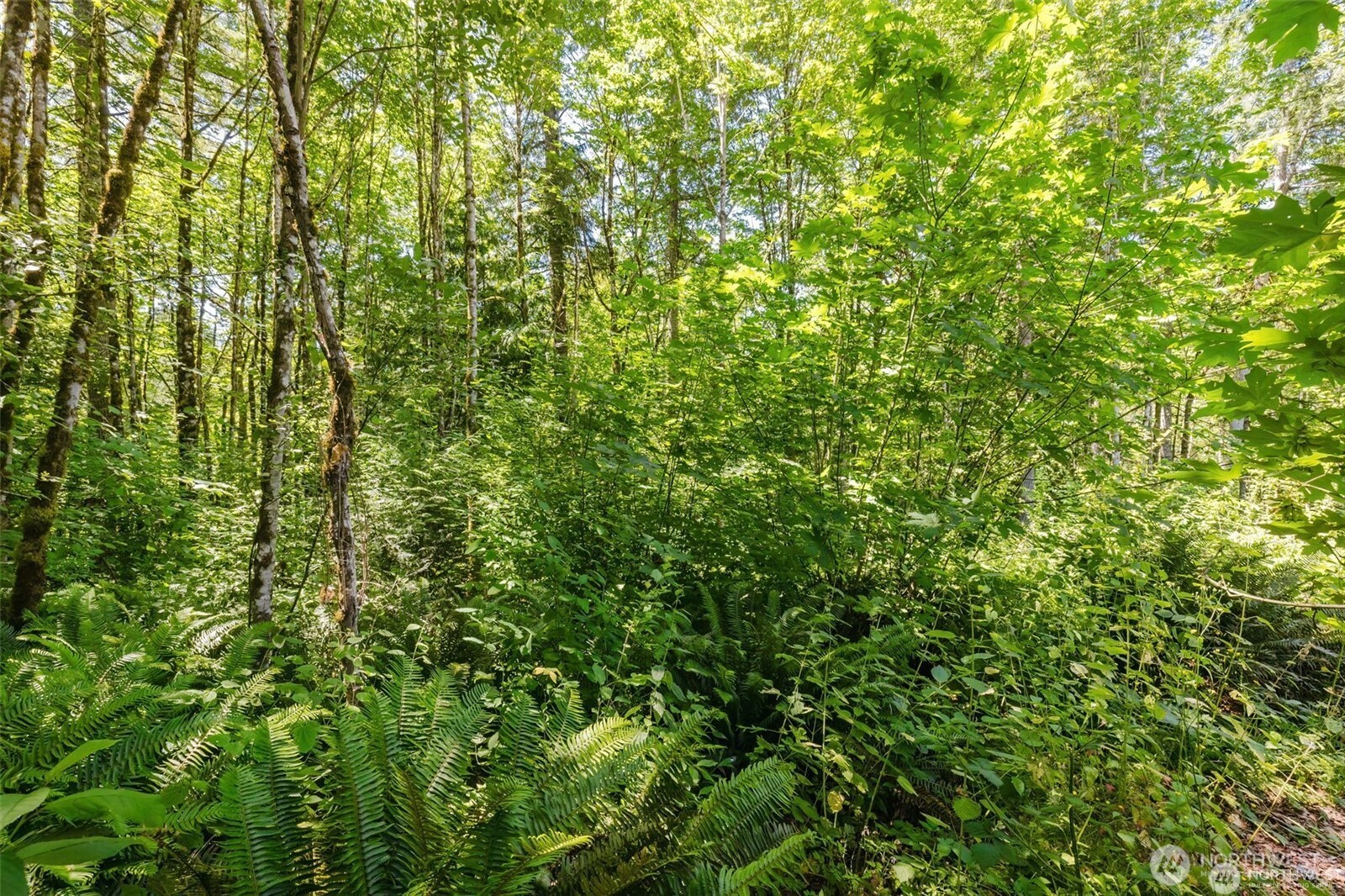 11 Lot Cassie Place NW, Poulsbo, WA 98370