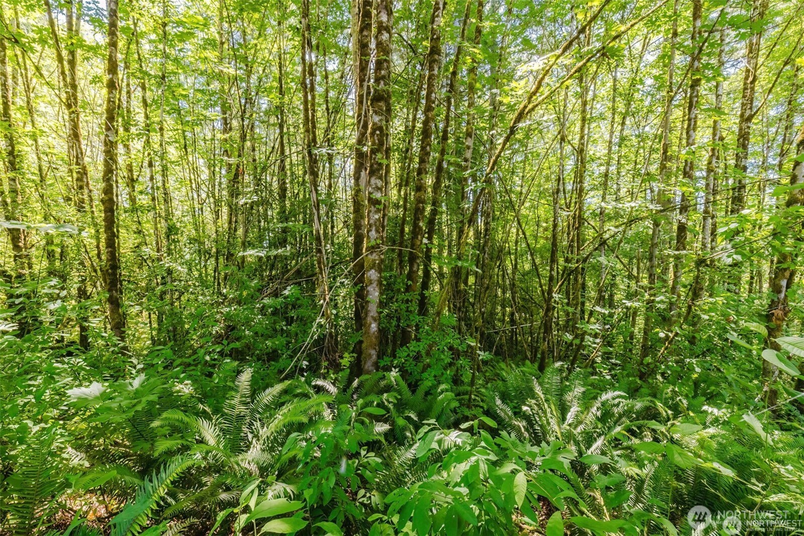 11 Lot Cassie Place NW, Poulsbo, WA 98370