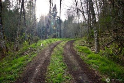 16912 222nd Street SE, Graham, WA 98338 - Photo 36