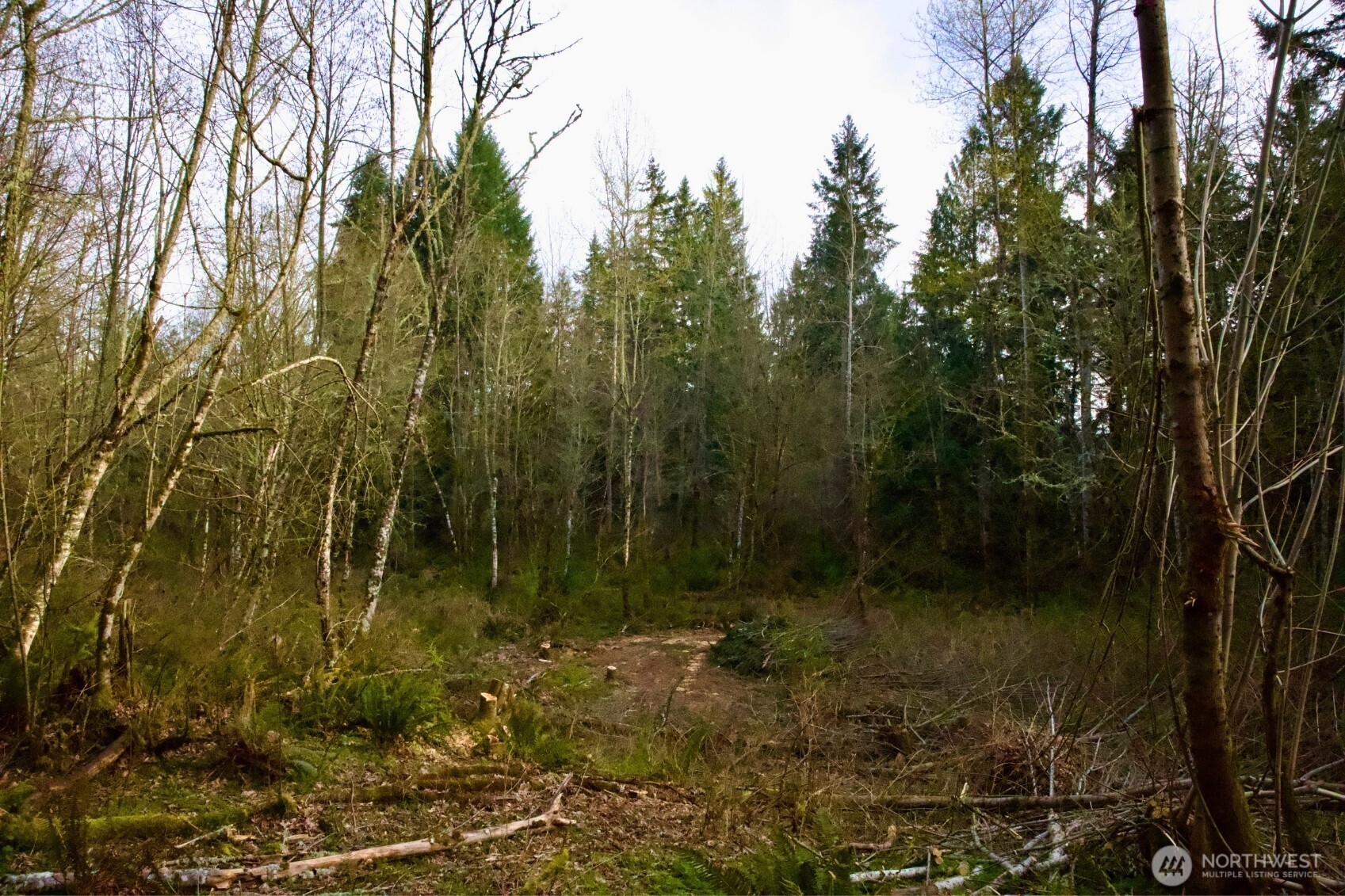 16912 222nd Street SE, Graham, WA 98338