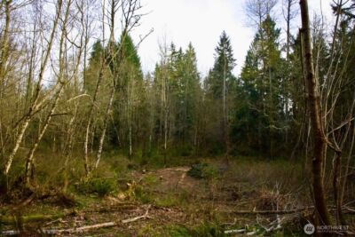 16912 222nd Street SE, Graham, WA 98338 - Photo 37