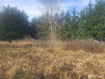 3826 E N Street , Tacoma, WA 98404 - Photo 4