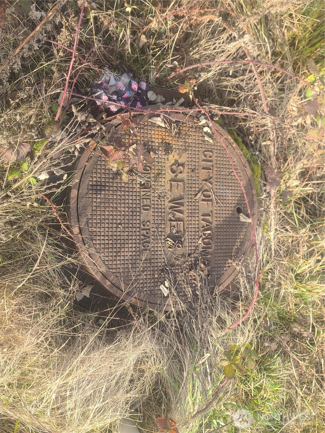 3826 E N Street , Tacoma, WA 98404