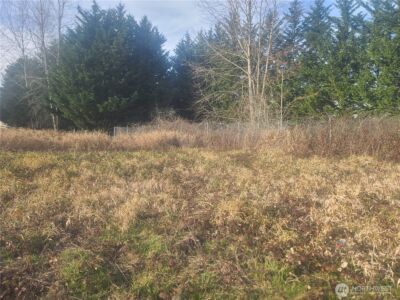 3826 E N Street , Tacoma, WA 98404 - Photo 9