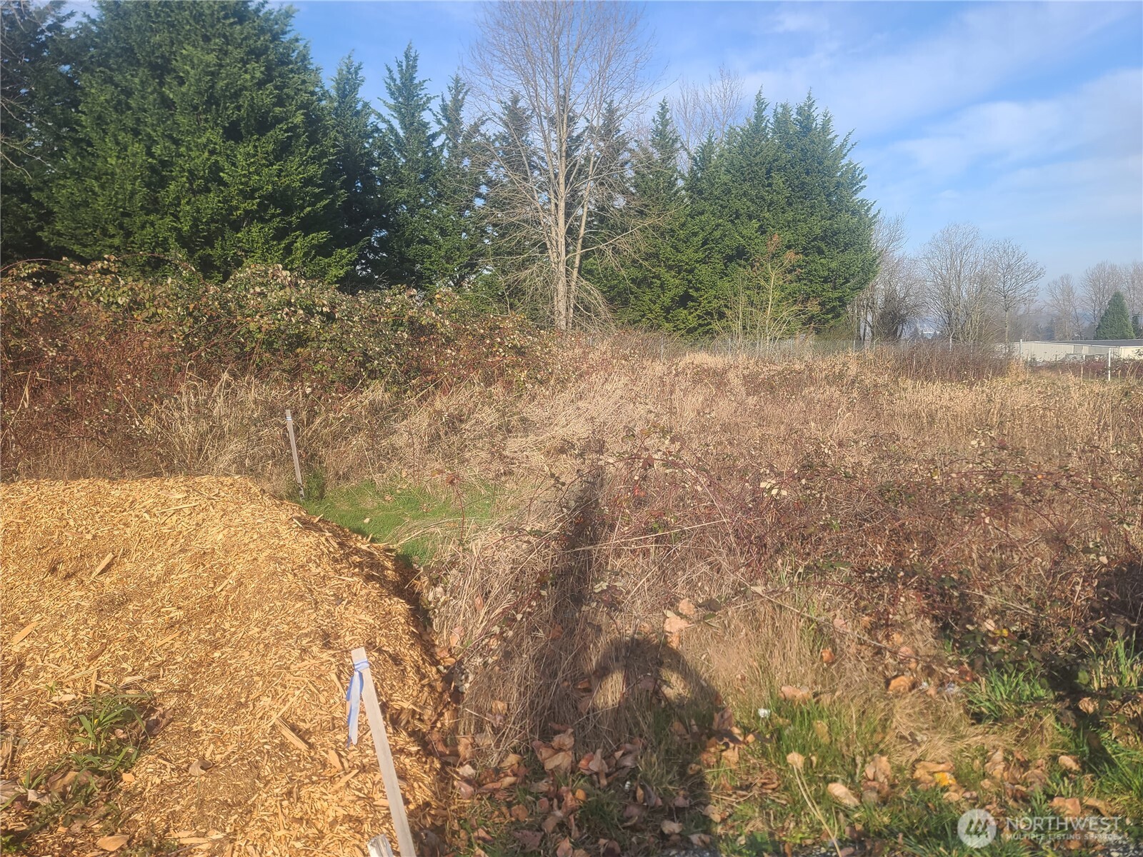 3826 E N Street , Tacoma, WA 98404