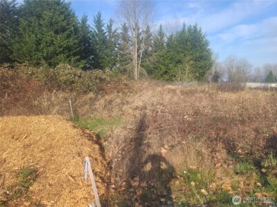 3826 E N Street , Tacoma, WA 98404 - Photo 10