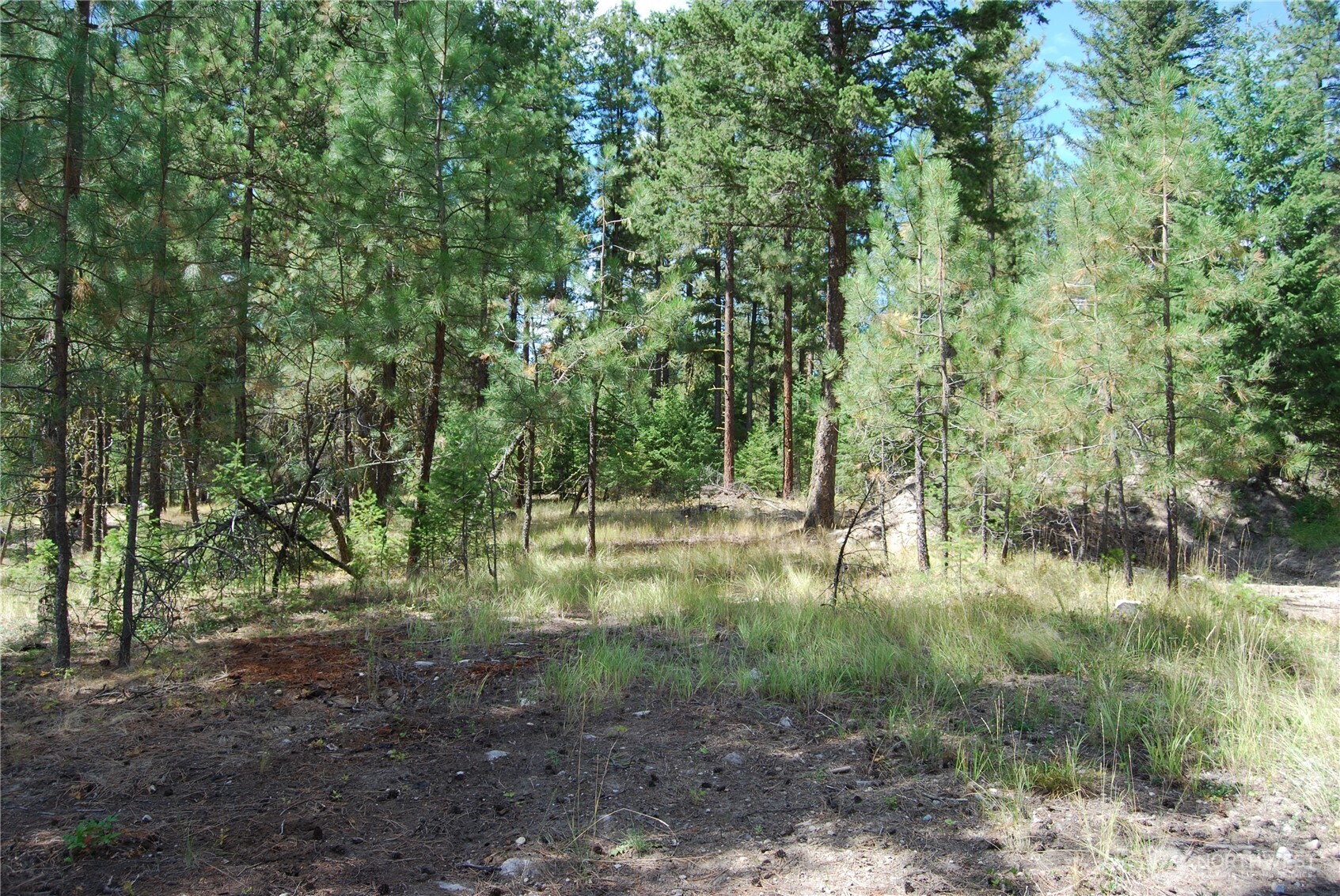 31 Summit Lake Rd , Tonasket, WA 98855