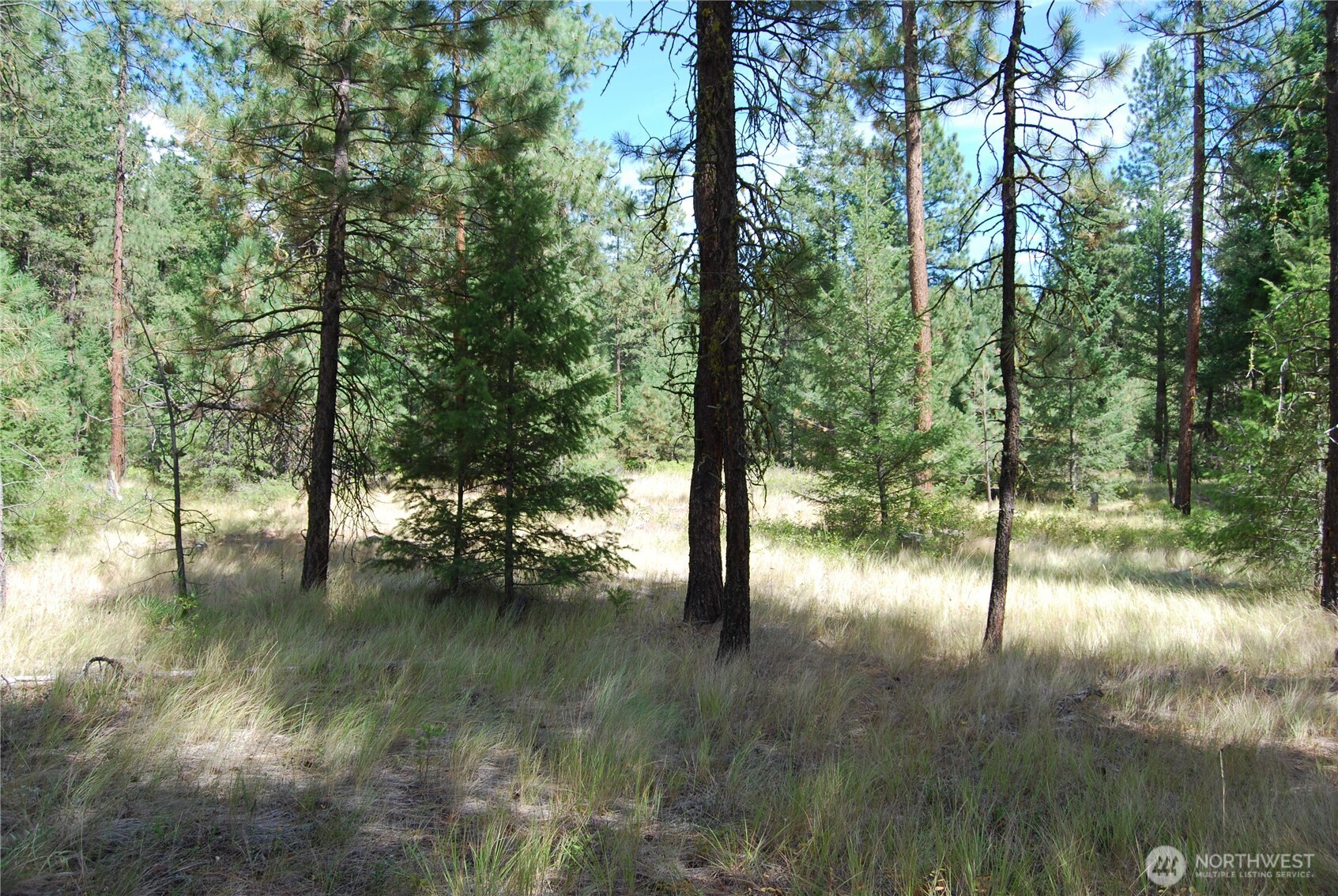 31 Summit Lake Rd , Tonasket, WA 98855