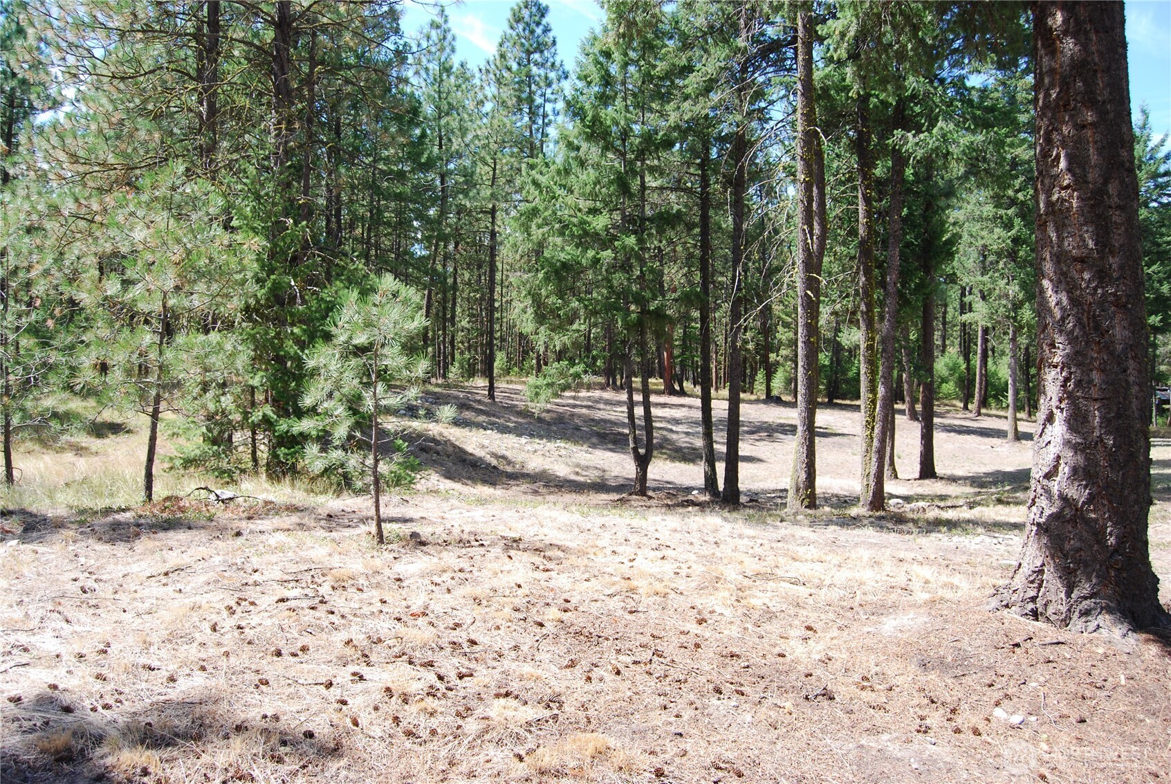 31 Summit Lake Rd , Tonasket, WA 98855