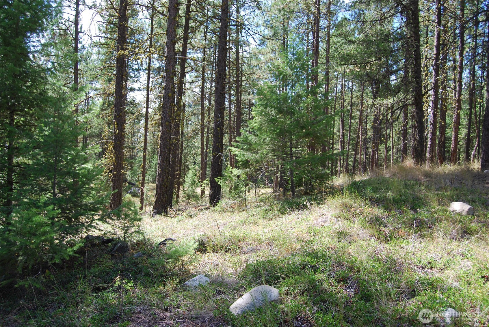 31 Summit Lake Rd , Tonasket, WA 98855