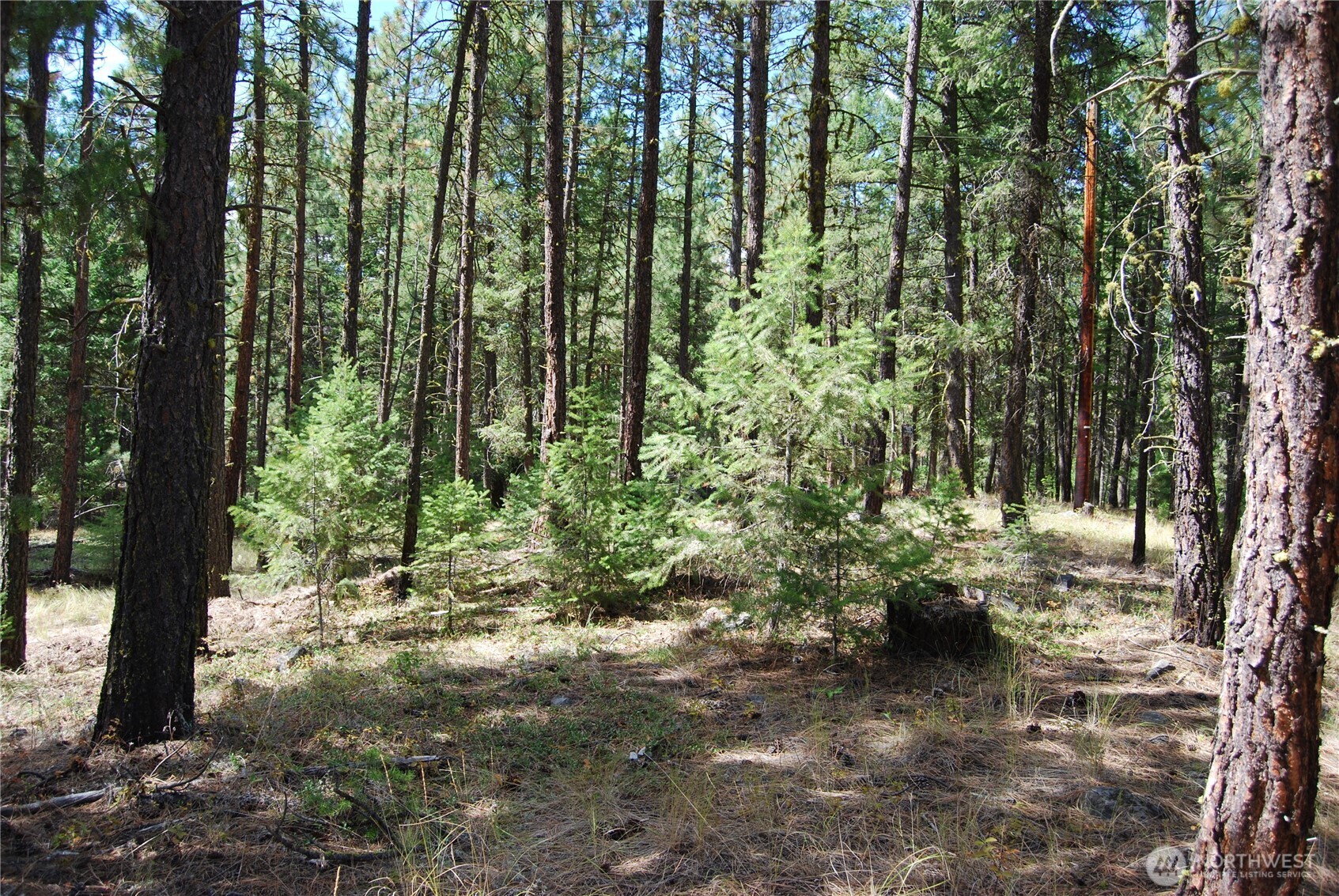 31 Summit Lake Rd , Tonasket, WA 98855