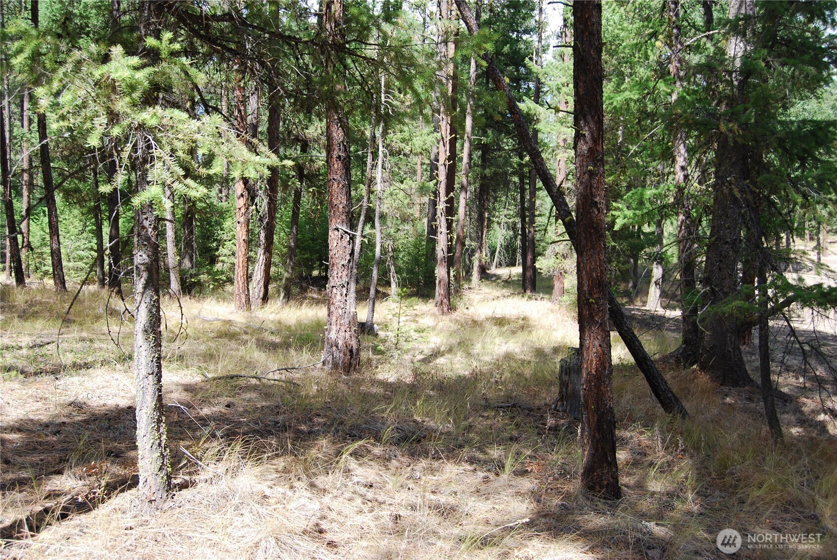 31 Summit Lake Rd , Tonasket, WA 98855