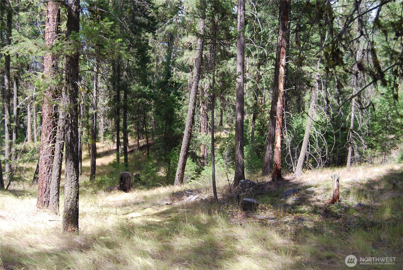 31 Summit Lake Rd , Tonasket, WA 98855