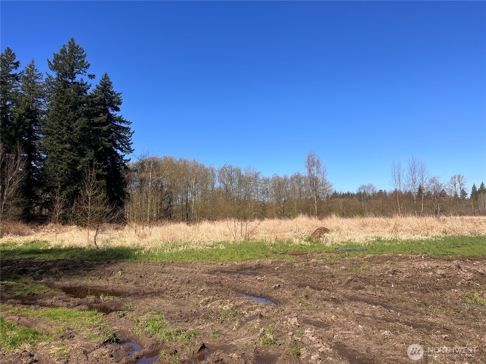 8599 Valley View Road , Custer, WA 98240