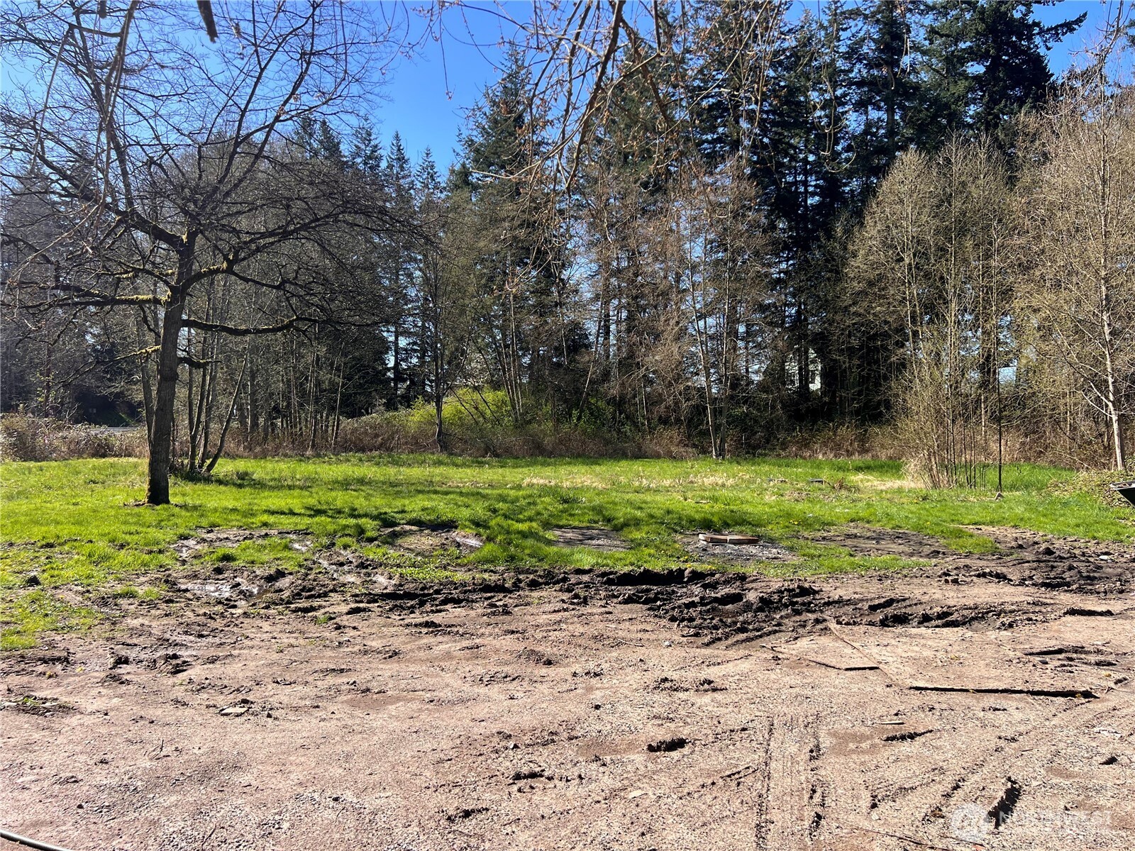 8599 Valley View Road , Custer, WA 98240