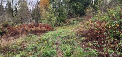 0 E Twanoh Heights Road , Belfair, WA 98528 - Photo 11