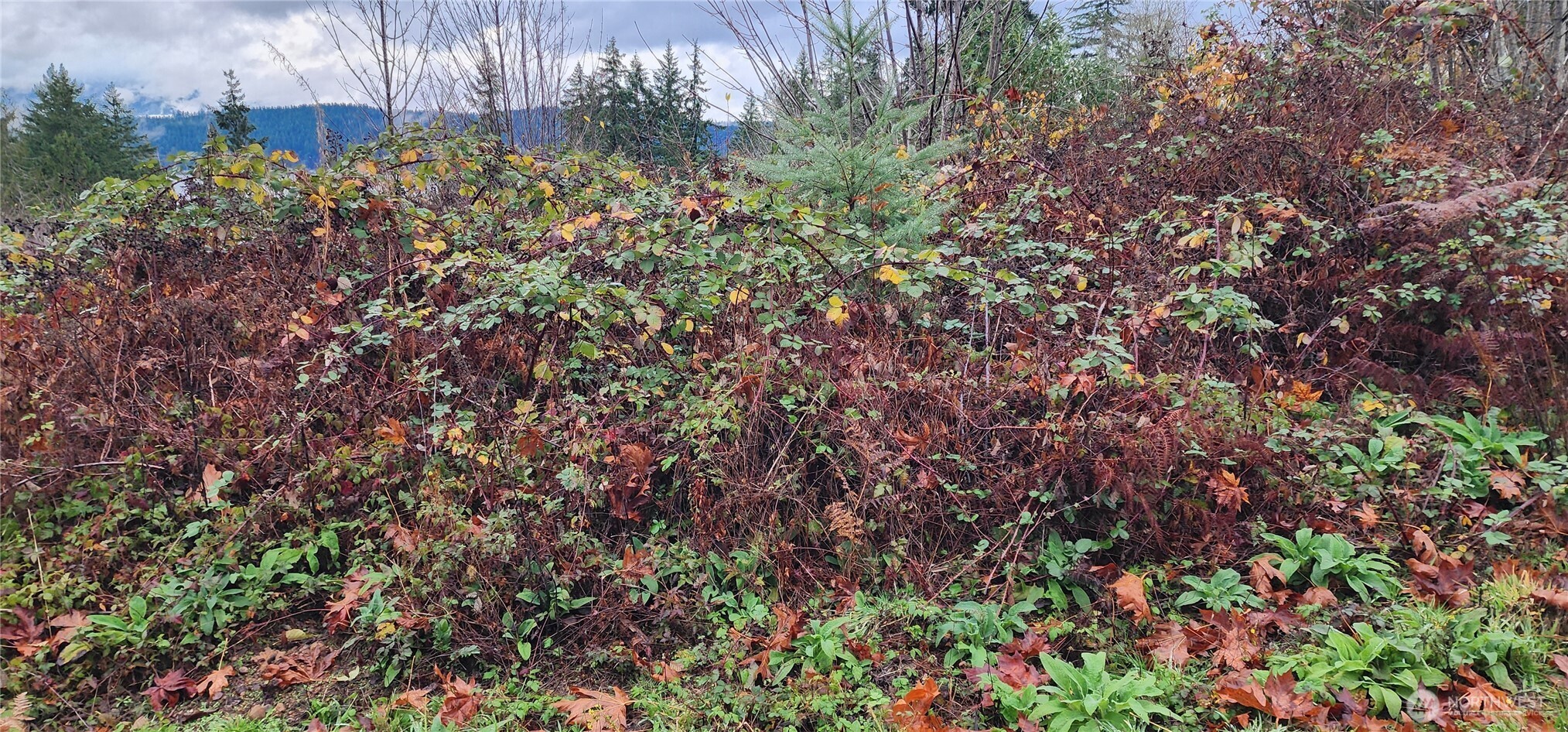 0 E Twanoh Heights Road , Belfair, WA 98528
