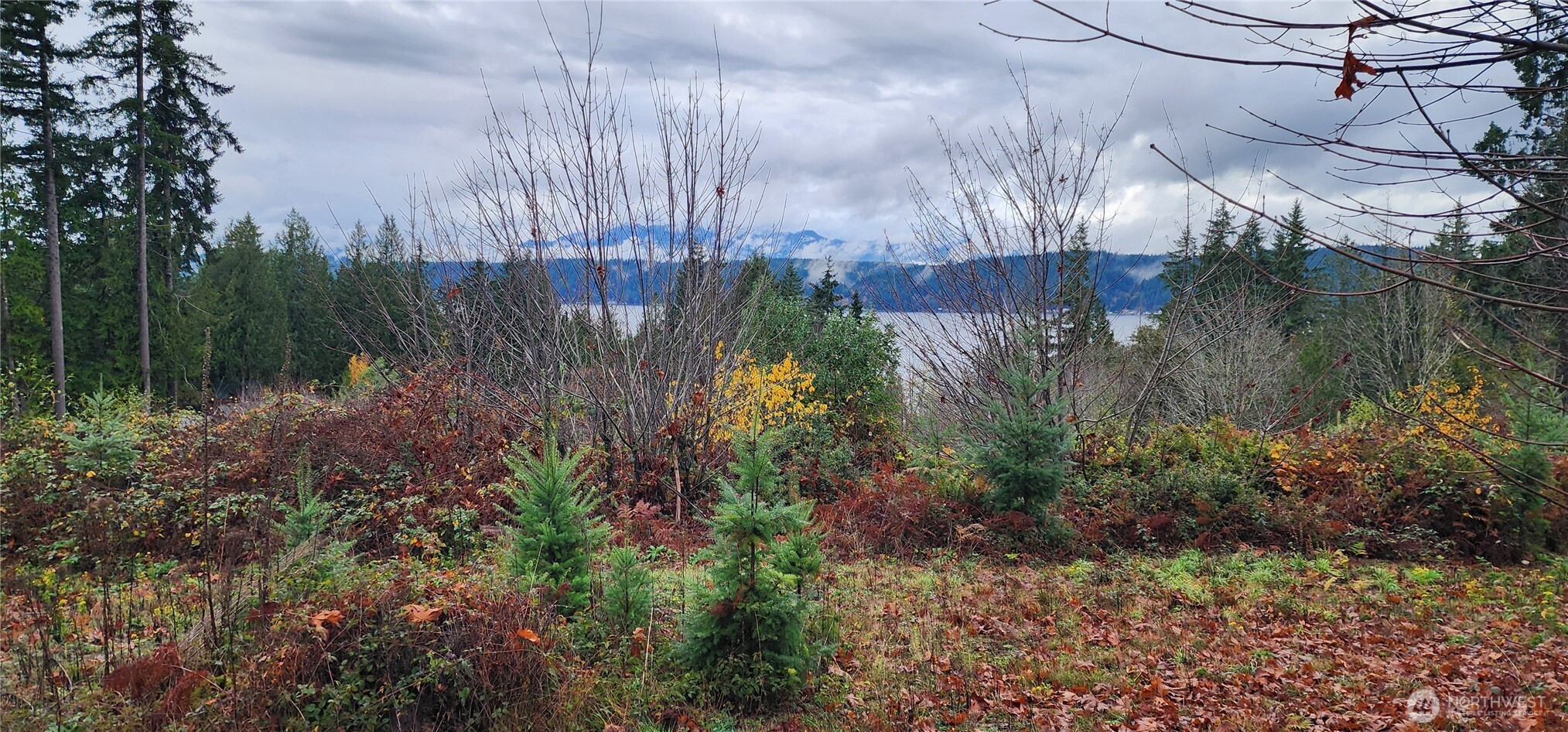 0 E Twanoh Heights Road , Belfair, WA 98528