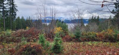 0 E Twanoh Heights Road , Belfair, WA 98528 - Photo 16