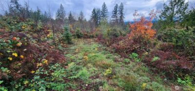 0 E Twanoh Heights Road , Belfair, WA 98528 - Photo 3