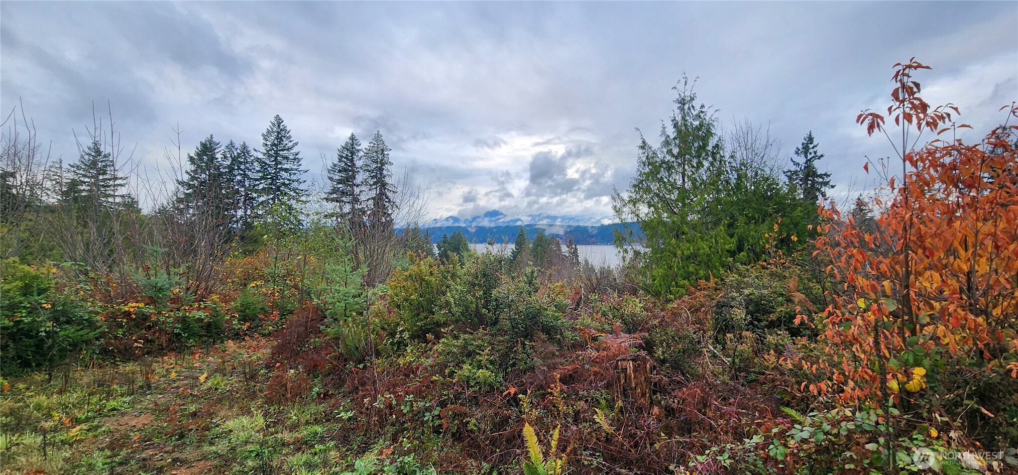 0 E Twanoh Heights Road , Belfair, WA 98528