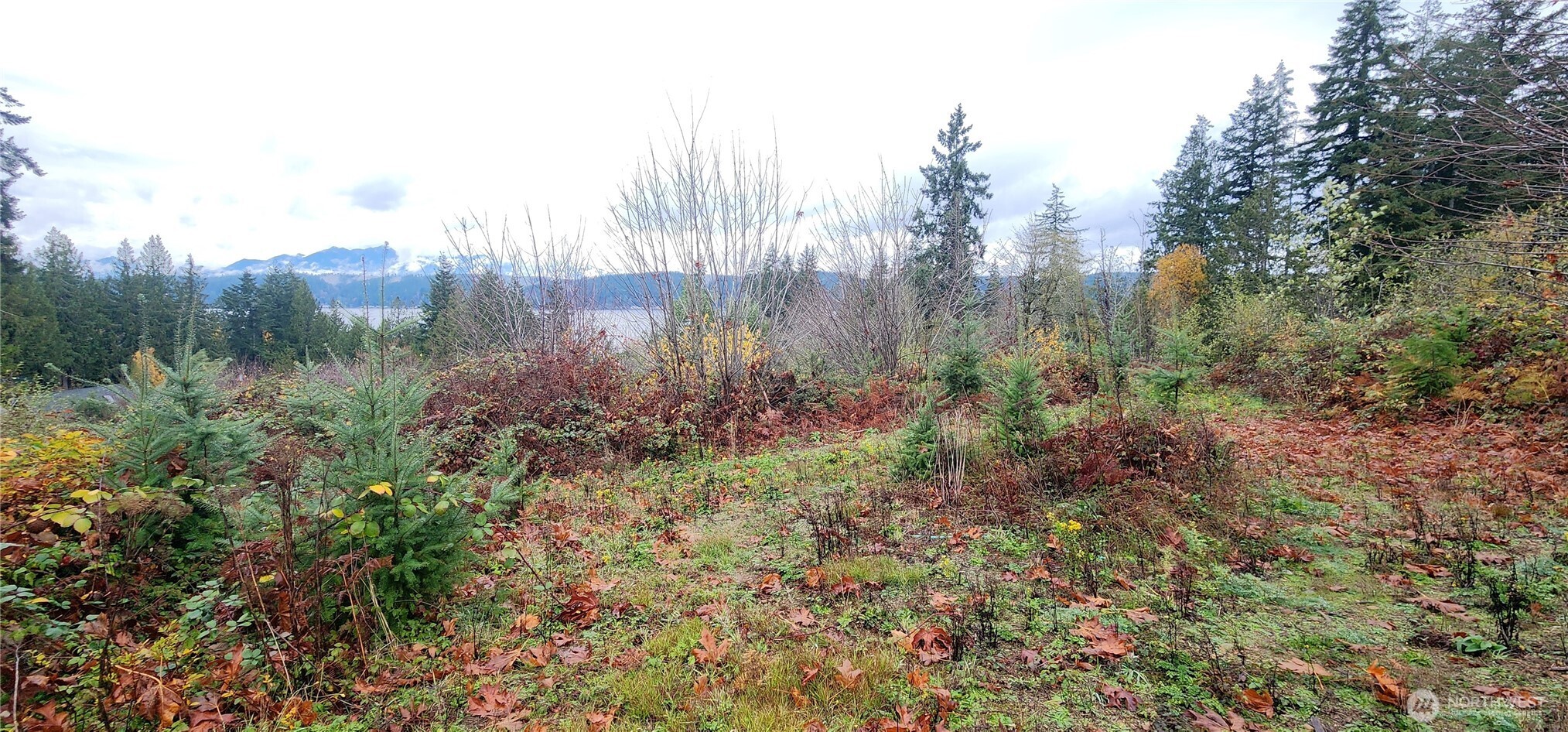 0 E Twanoh Heights Road , Belfair, WA 98528