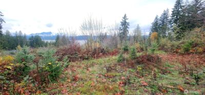 0 E Twanoh Heights Road , Belfair, WA 98528 - Photo 6
