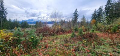 0 E Twanoh Heights Road , Belfair, WA 98528 - Photo 7