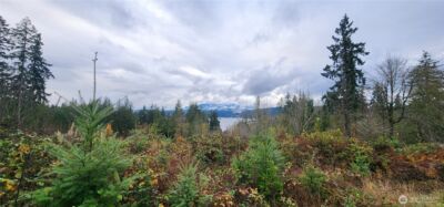 0 E Twanoh Heights Road , Belfair, WA 98528 - Photo 8