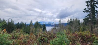 0 E Twanoh Heights Road , Belfair, WA 98528 - Photo 9