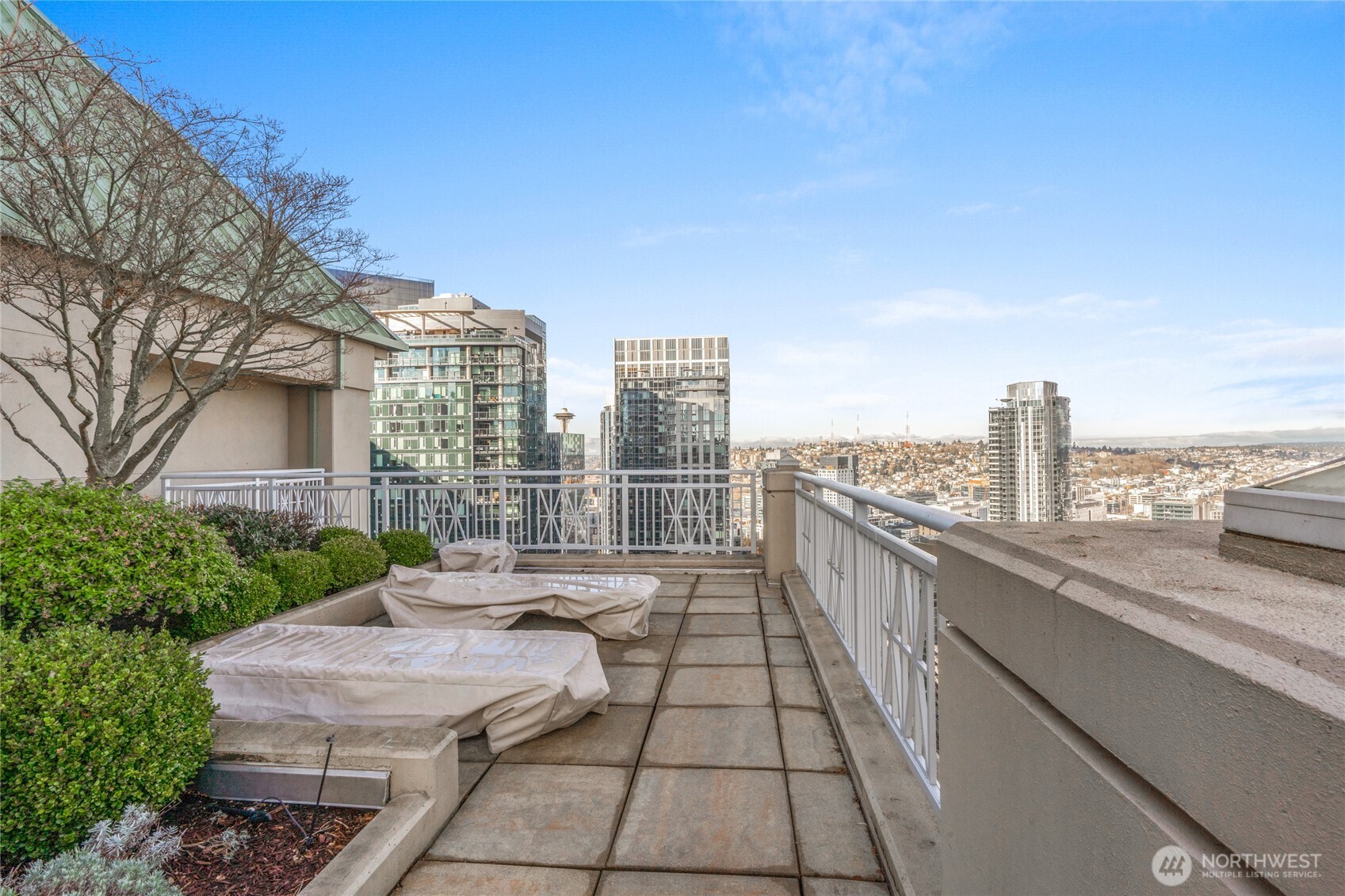 819 Virginia Street #2504, Seattle, WA 98101