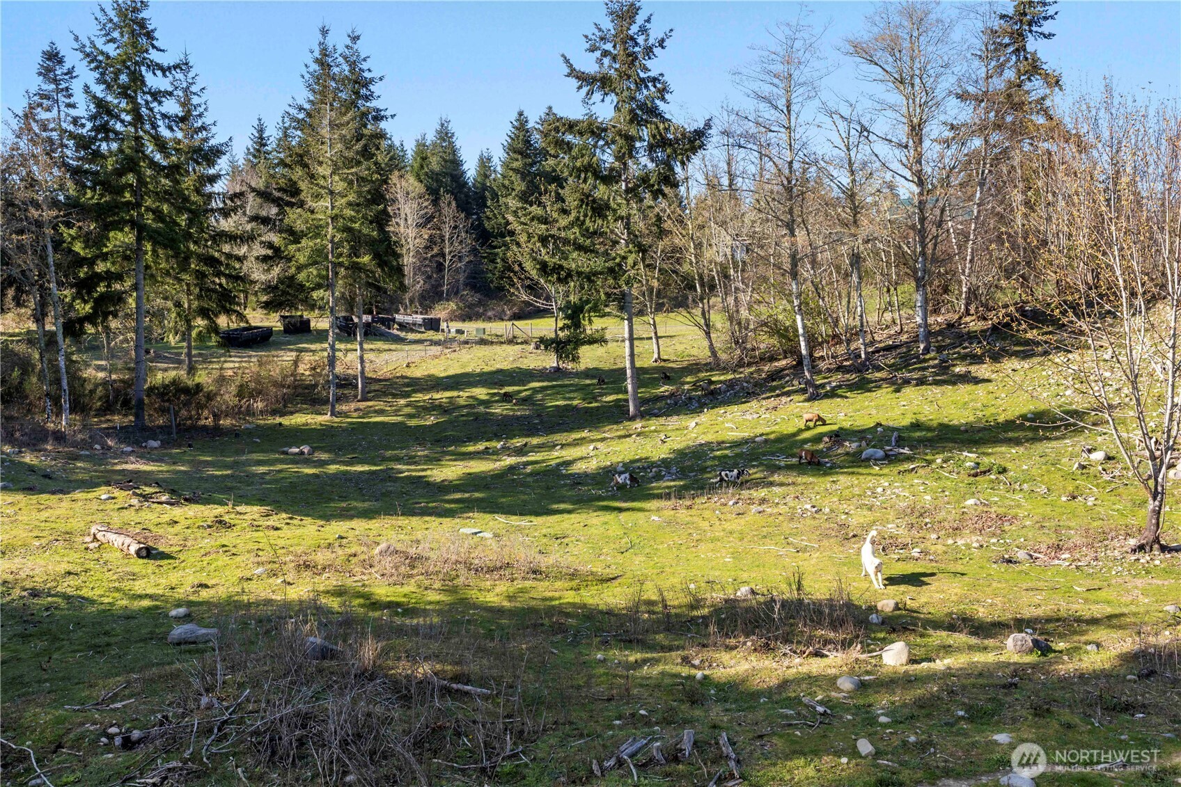 13113 Algyer Road SE, Rainier, WA 98576