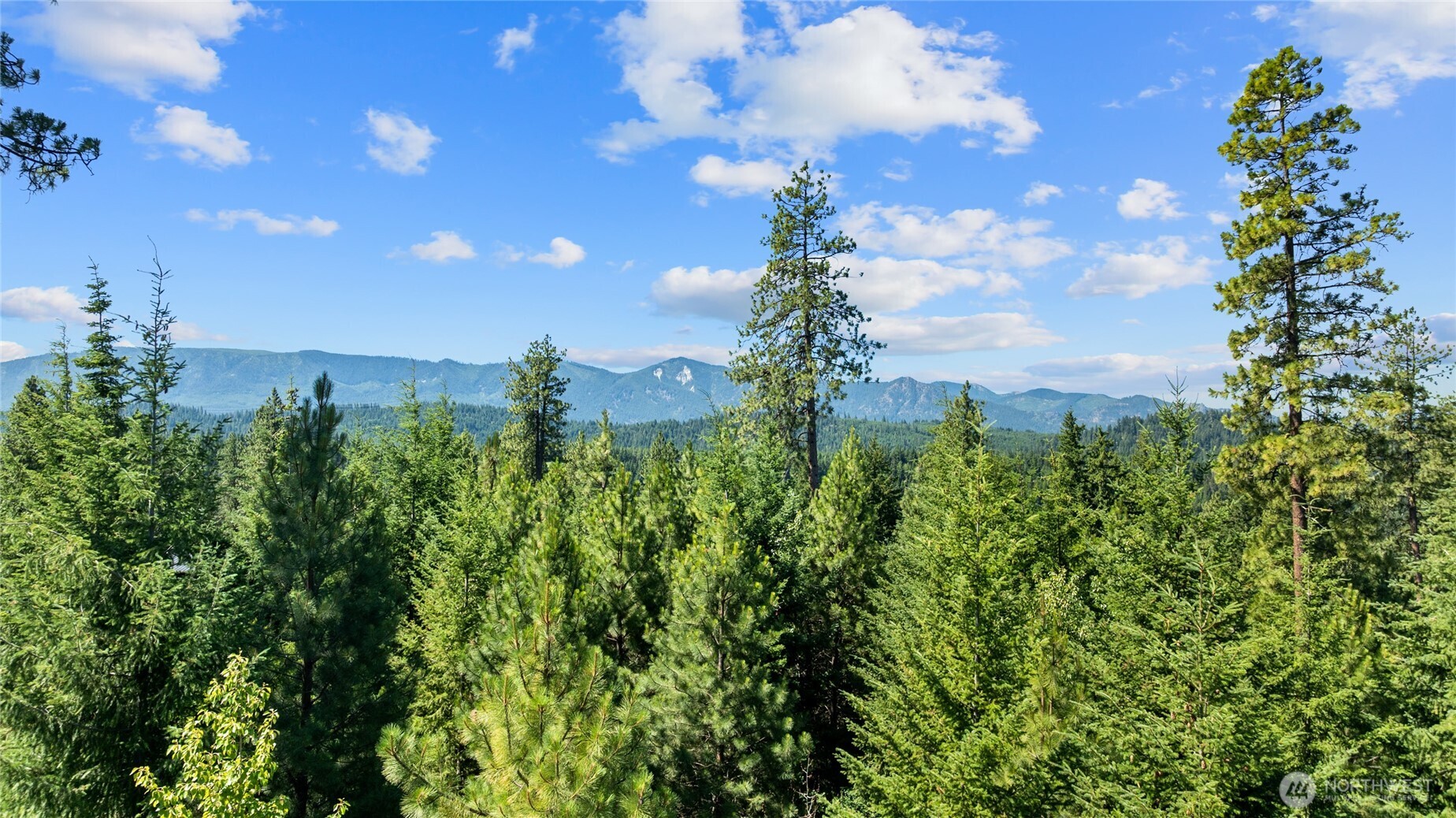 3690 Swiftwater Drive , Cle Elum, WA 98922