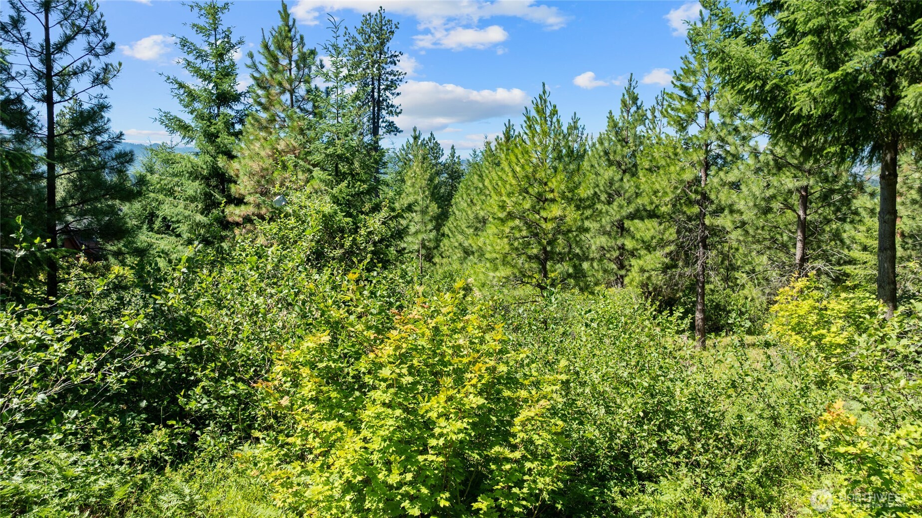 3690 Swiftwater Drive , Cle Elum, WA 98922