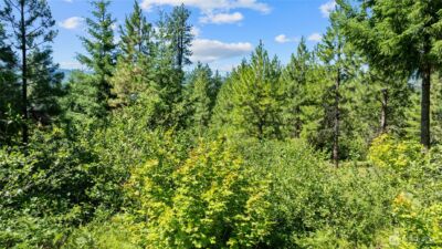 3690 Swiftwater Drive , Cle Elum, WA 98922 - Photo 8