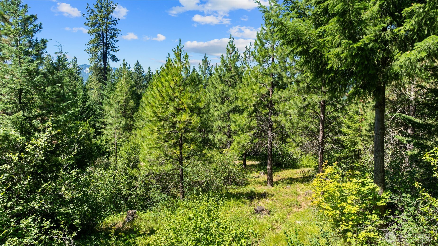 3690 Swiftwater Drive , Cle Elum, WA 98922