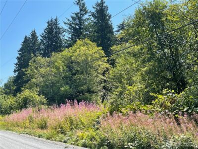 0 XX 188th Street NE, Arlington, WA 98223 - Photo 18