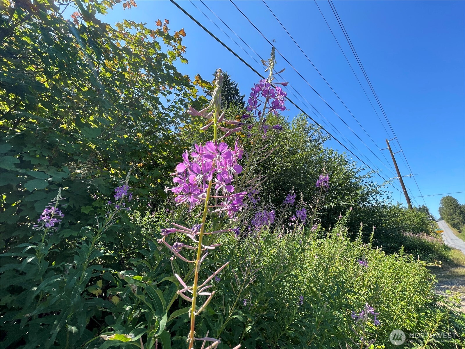 0 XX 188th Street NE, Arlington, WA 98223
