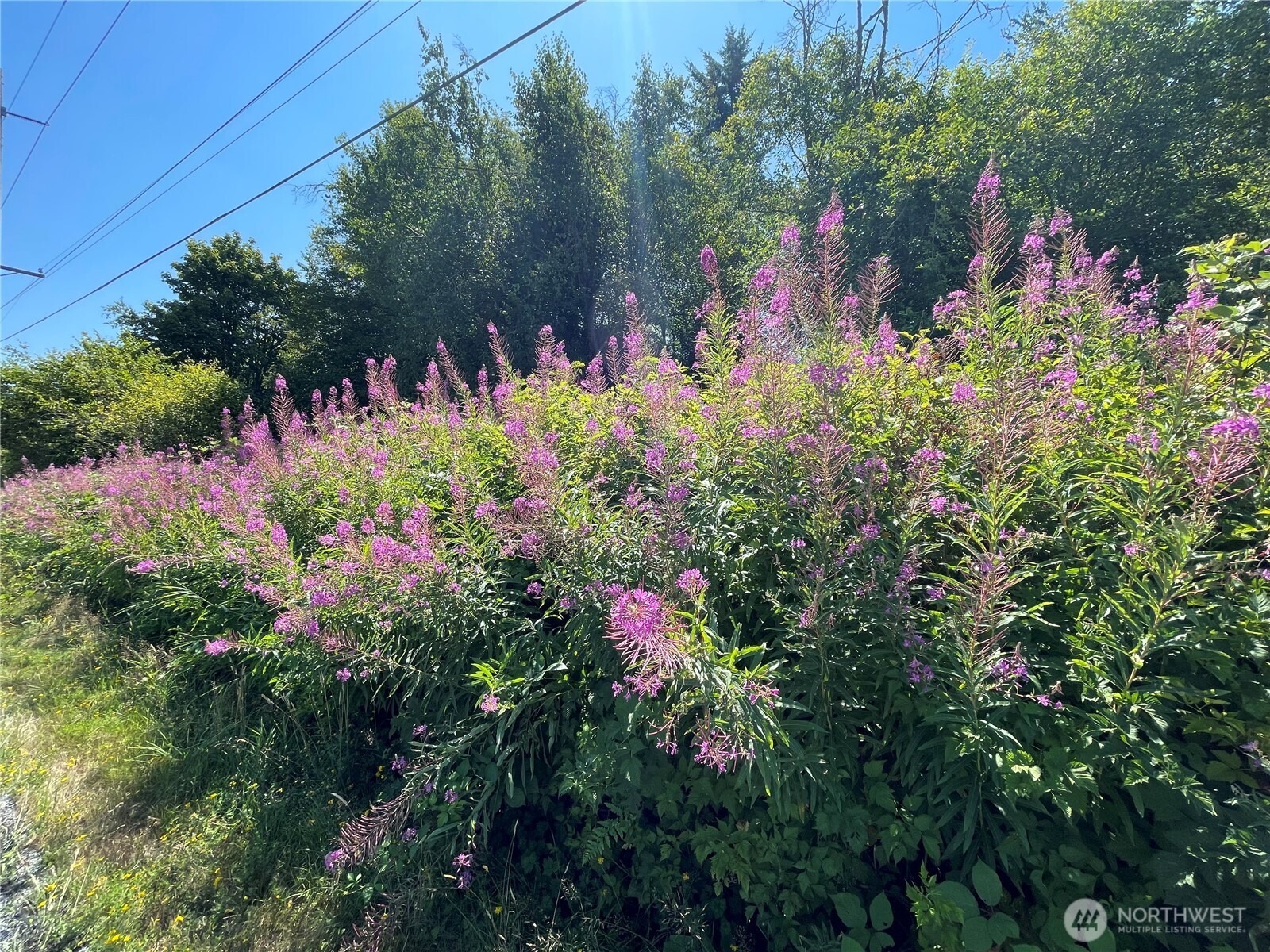 0 XX 188th Street NE, Arlington, WA 98223
