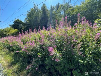 0 XX 188th Street NE, Arlington, WA 98223 - Photo 26