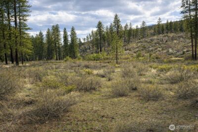 1 N Cook Mt Road , Okanogan, WA 98840 - Photo 1