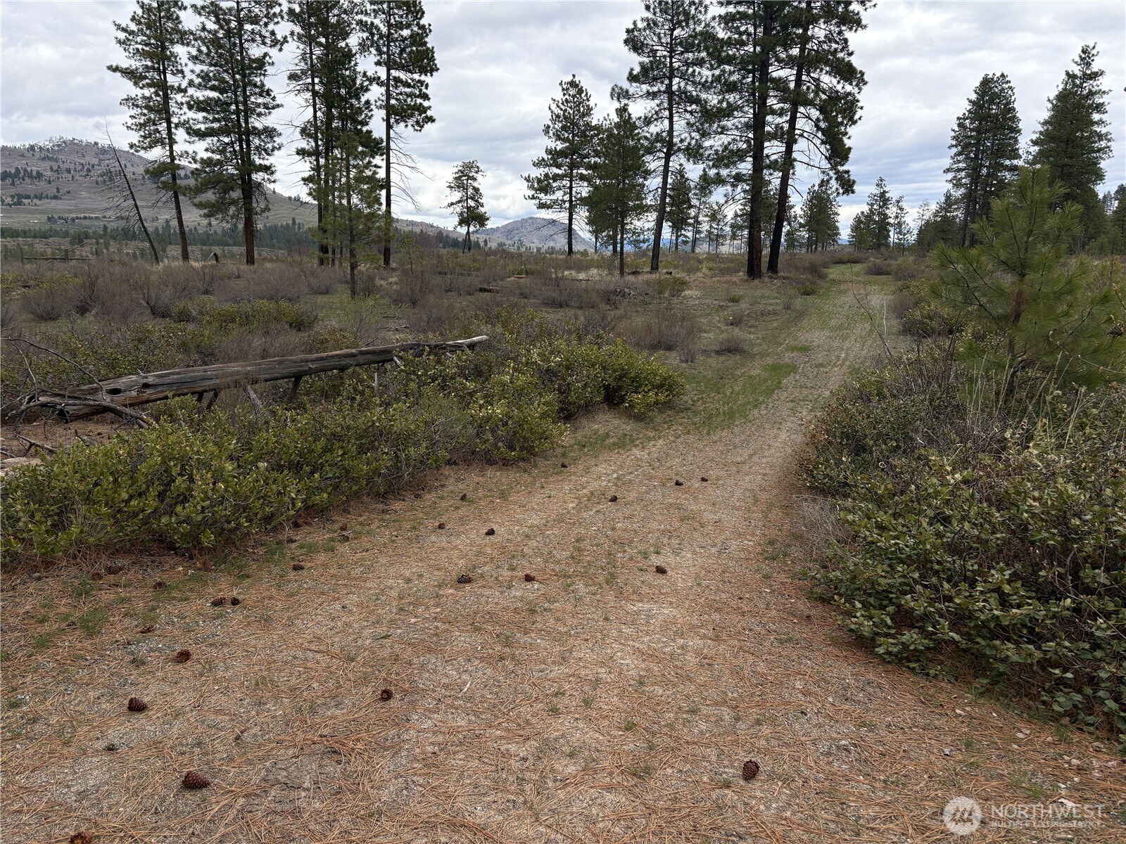 1 N Cook Mt Road , Okanogan, WA 98840