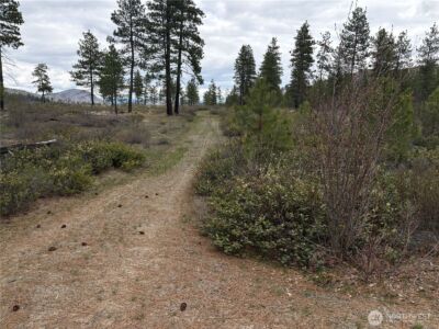 1 N Cook Mt Road , Okanogan, WA 98840 - Photo 3