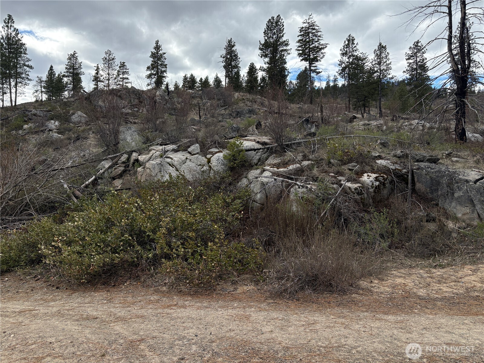 1 N Cook Mt Road , Okanogan, WA 98840