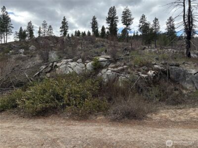 1 N Cook Mt Road , Okanogan, WA 98840 - Photo 4