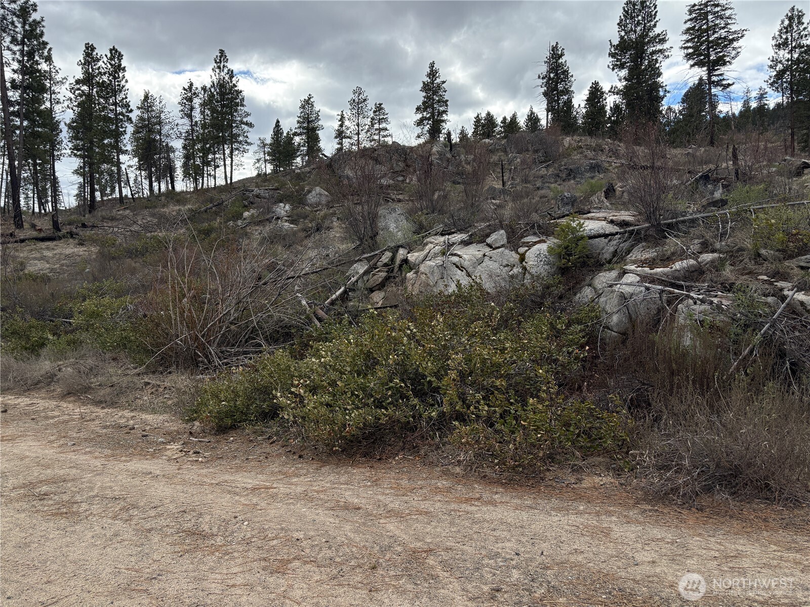 1 N Cook Mt Road , Okanogan, WA 98840