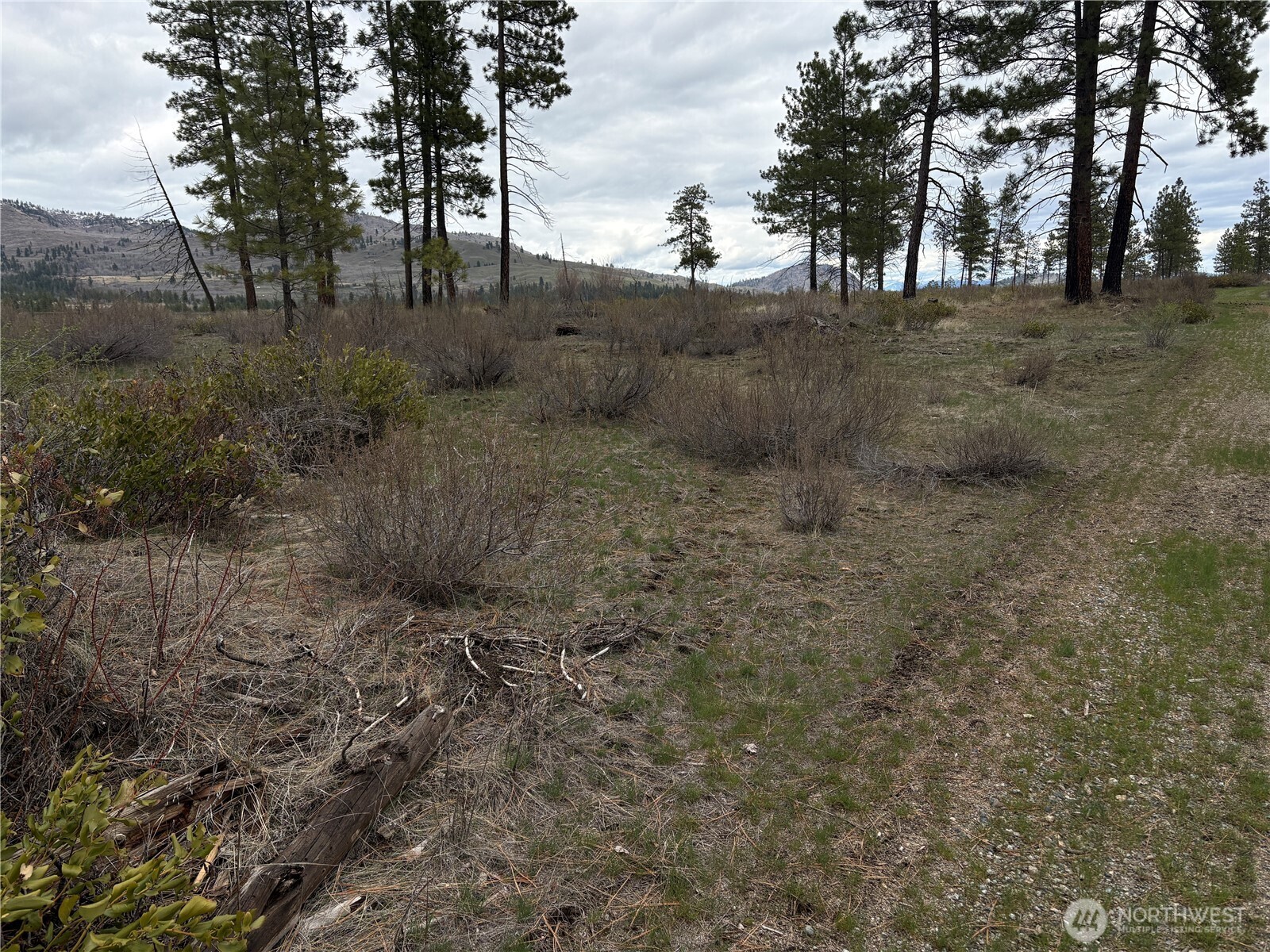 1 N Cook Mt Road , Okanogan, WA 98840