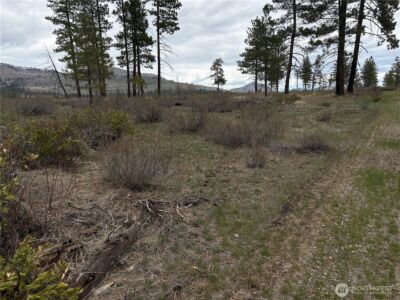 1 N Cook Mt Road , Okanogan, WA 98840 - Photo 6