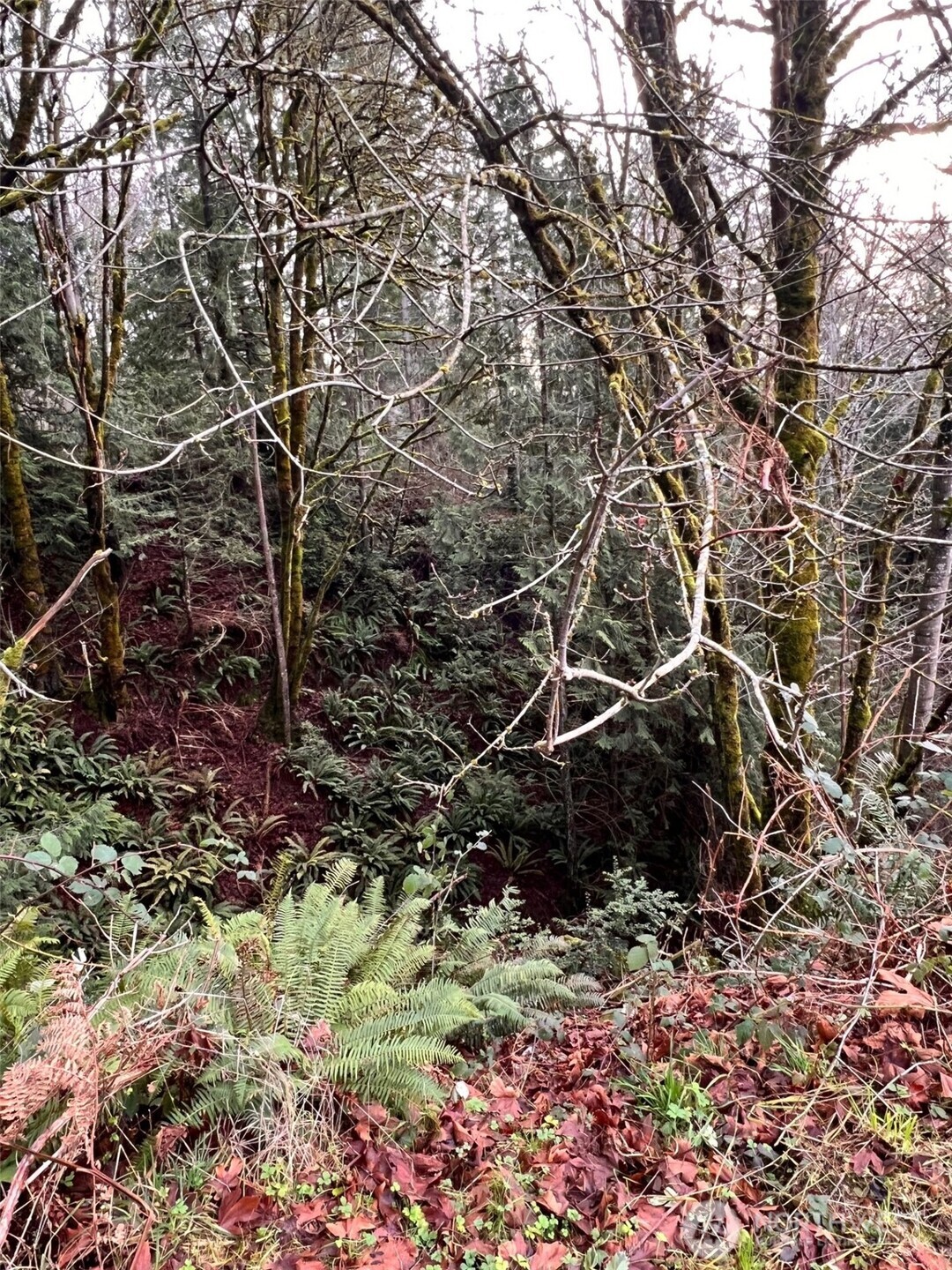 453 E Victor Road , Belfair, WA 98528