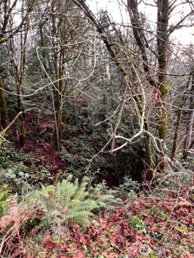 453 E Victor Road , Belfair, WA 98528 - Photo 7